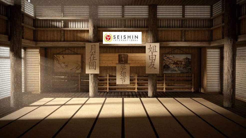 Karate-gi