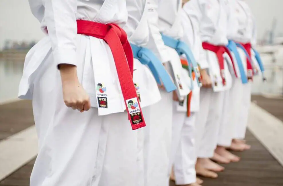 Ceinture compétition Karate SHUREIDO Coton – Approuvée WKF