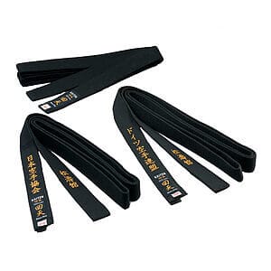 Ceintures Noires de Karate Jutsu