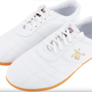 Chaussures de Tai Chi
