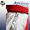 Kimono Karate Kata Deluxe Evo Combo Set – Premier League - rouge -bleu