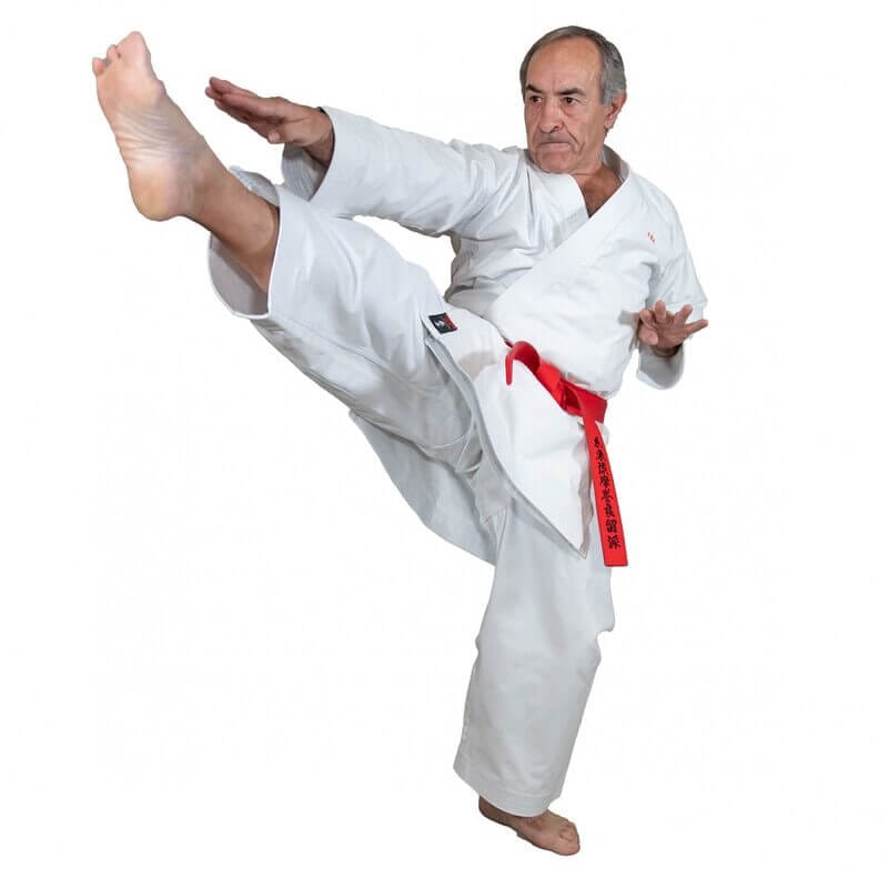 Karate-gi