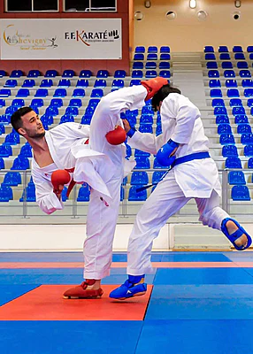Antoine Pinardin - Athlète Karate-Gi 3 Antoine Pinardin
