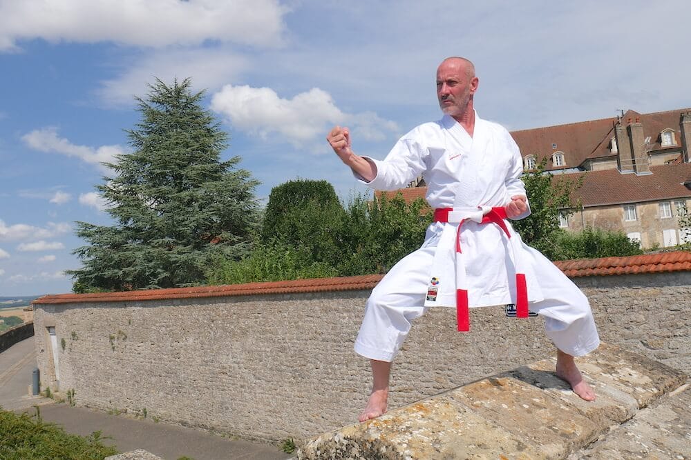 Karate-gi