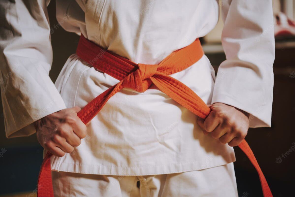 Karate-gi