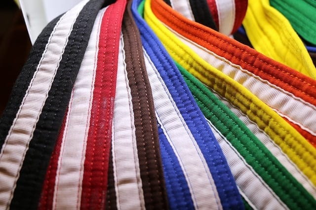 Karate-gi