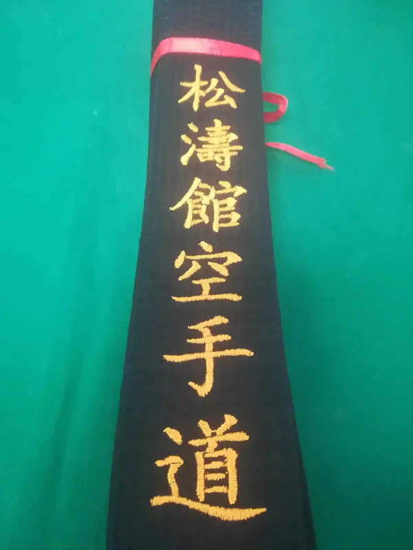 Karate-gi