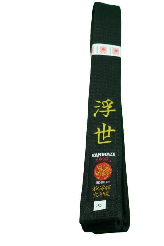 Karate-gi