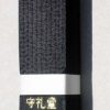 ceinture-noire-karate-shureido-zoom-satin