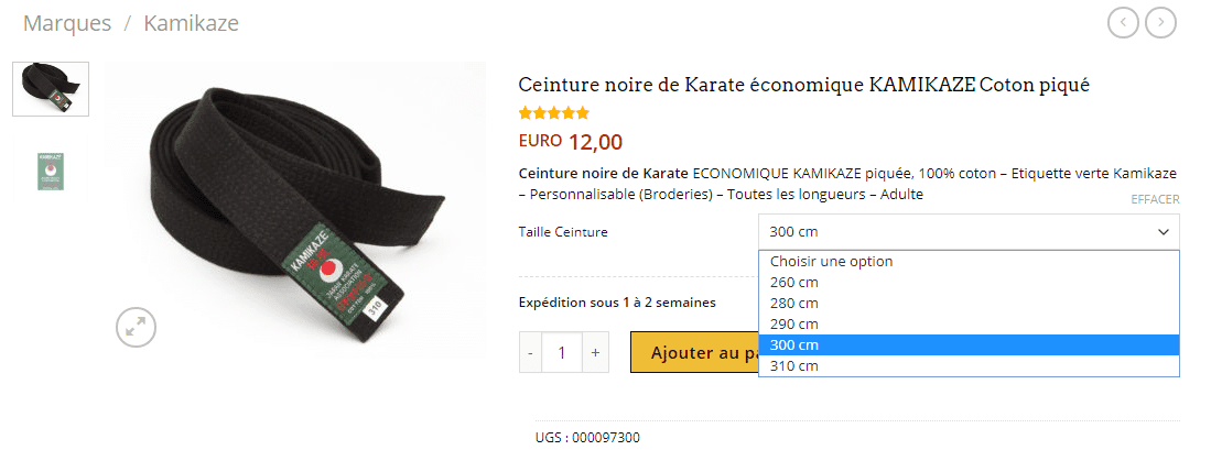 Karate-gi