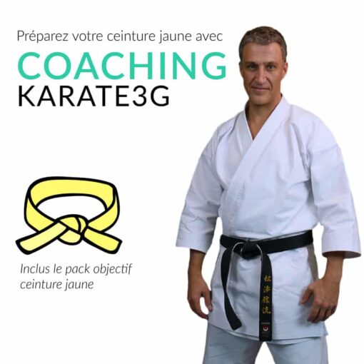 coaching-karate3g-ceinture-jaune-formation-de-karate-en-video