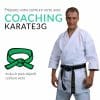 Cours de Karate en ligne Ceinture verte PACK OBJECTIF Karate3G™ 5 coaching-karate3g-ceinture-verte-formation-de-karate-en-video