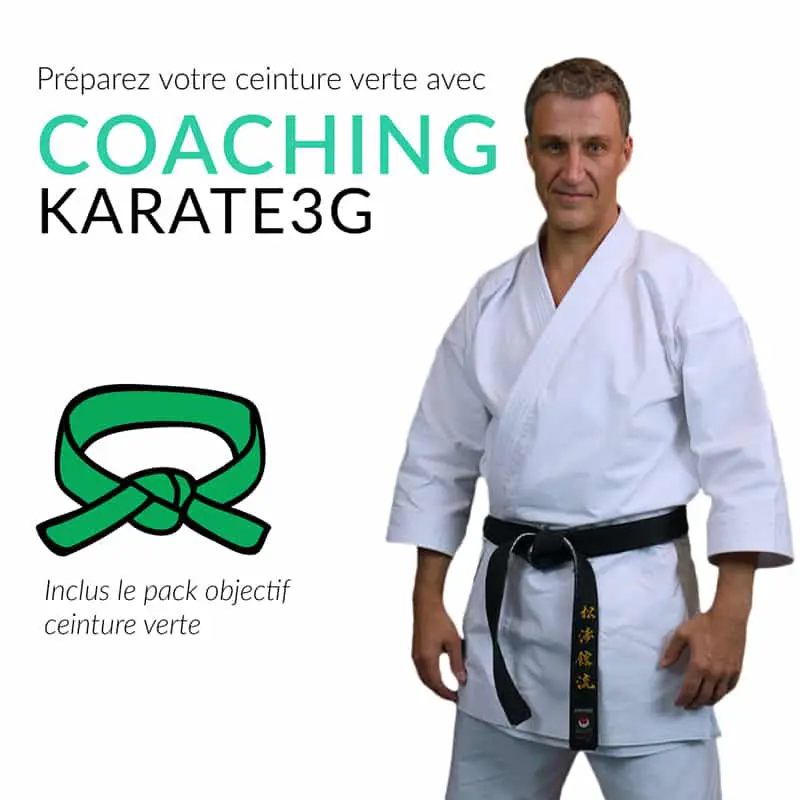 Cours de Karate en ligne Ceinture verte PACK OBJECTIF Karate3G™ 4 coaching-karate3g-ceinture-verte-formation-de-karate-en-video