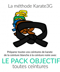 cours de karate en ligne ceinture blanche a noire pack objectif karate3g%E2%84%A2 video