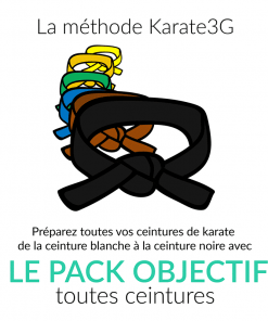 cours de karate en ligne ceinture blanche a noire pack objectif karate3g%E2%84%A2 video