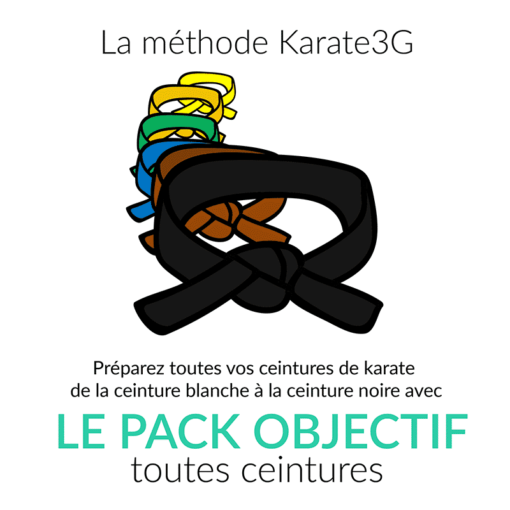 Cours de Karate en ligne Ceinture Blanche à Noire PACK OBJECTIF Karate3G™ vidéo