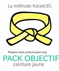 cours de karate en ligne ceinture jaune pack objectif karate3g%E2%84%A2 video