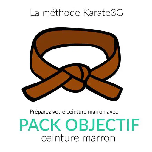 Cours de Karate en ligne Ceinture marron PACK OBJECTIF Karate3G™ vidéo