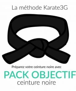 cours de karate en ligne ceinture noire pack objectif karate3g%E2%84%A2 video
