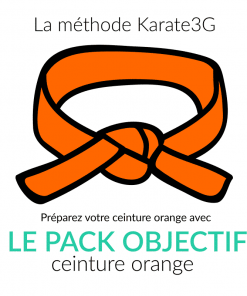 Cours de Karate en ligne Ceinture orange PACK OBJECTIF Karate3G™ video