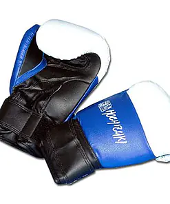 Gants de Yoseikan Budo - Noris-320620 mitaines