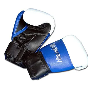 gants de yoseikan budo noris 320620 mitaines