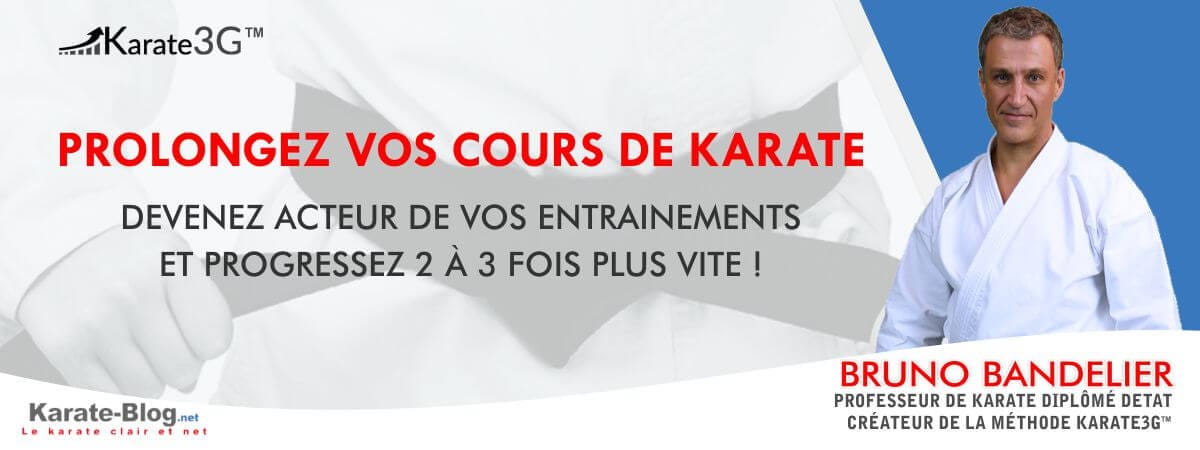 Karate-gi