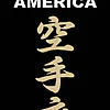 karate-gi-claquant-kimono-america-kamikaze-etiquette-noire