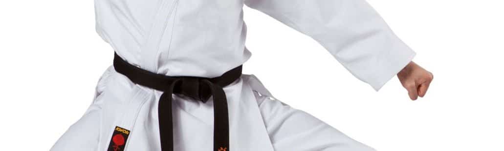 Karate-gi