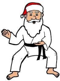 Karate-gi
