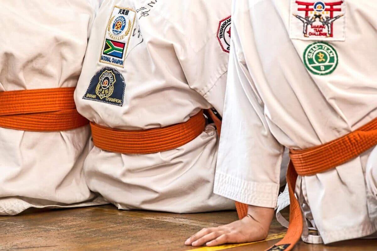 Karate-gi