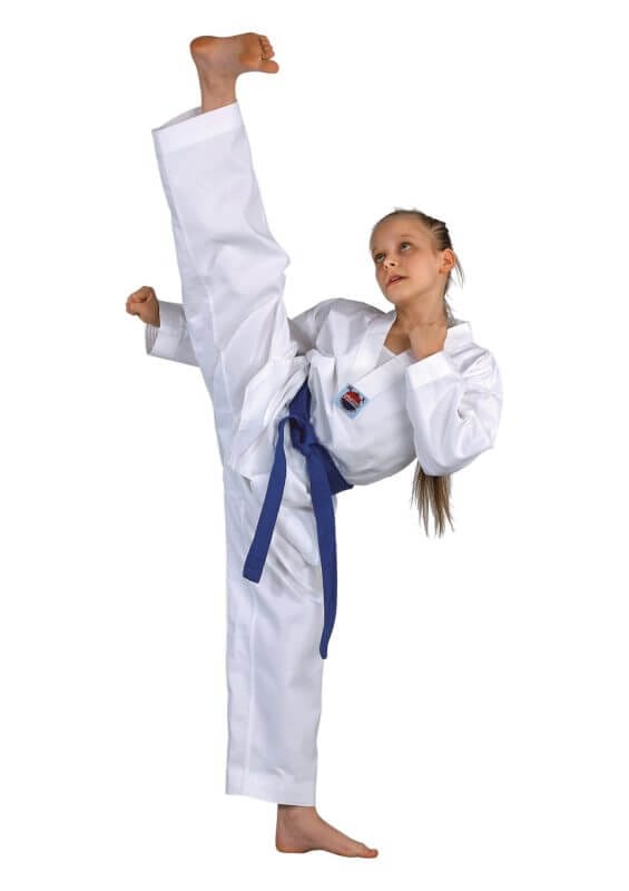 Karate-gi