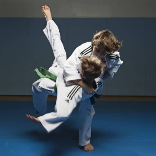 kimono-judo-training-adidas-j500