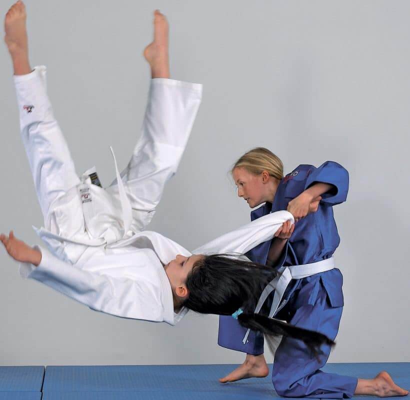Karate-gi