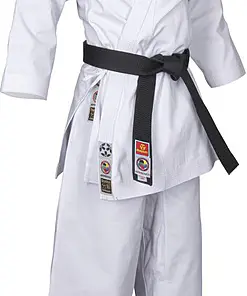 Kimono Karate Bunkai 2.0