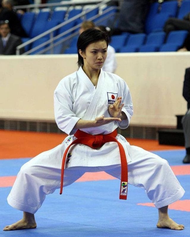 Karate-gi
