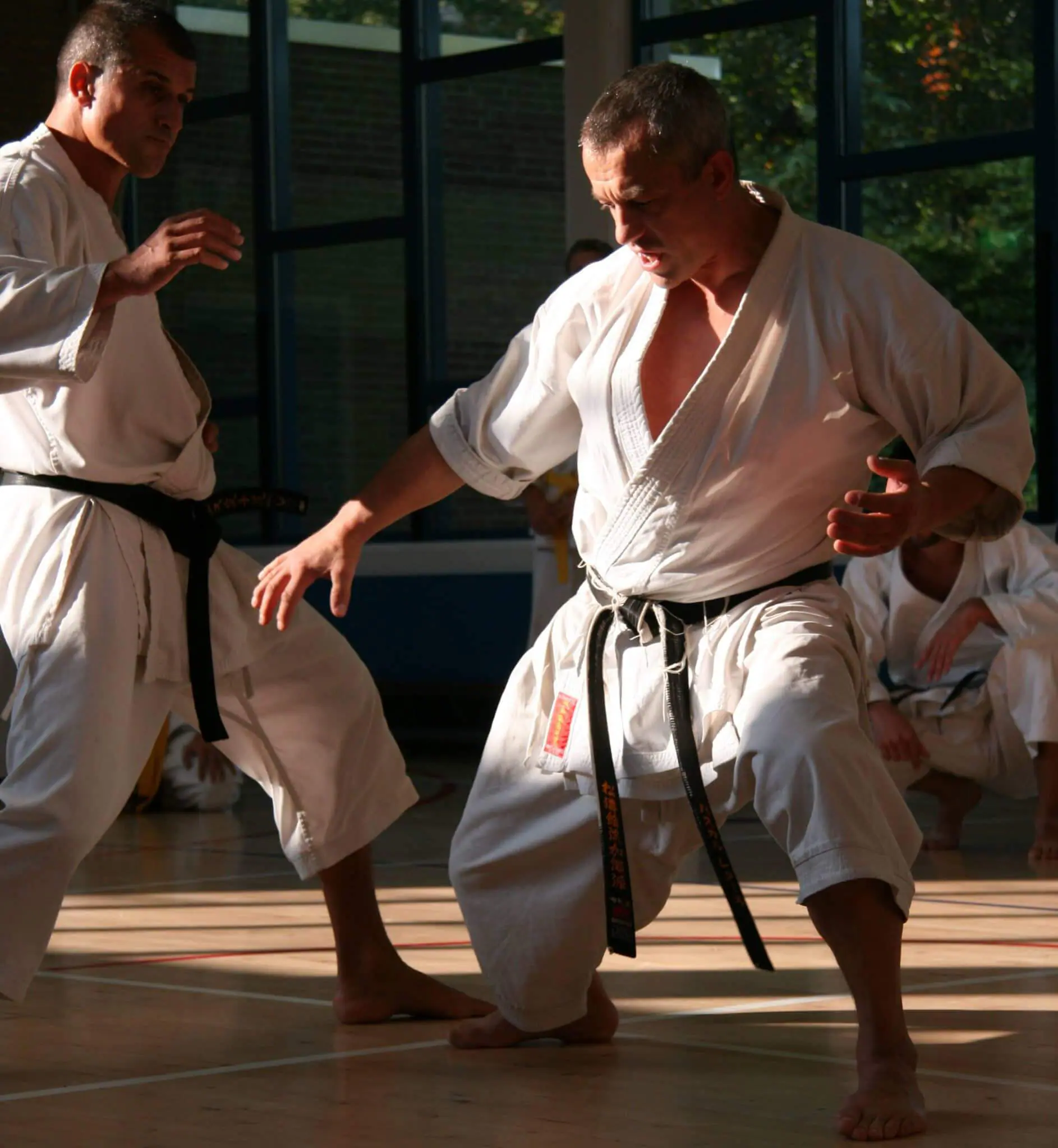 Kimono Karate Kamikaze EUROPA 9 kimono-karate-gi-kamikaze-europa-esquive