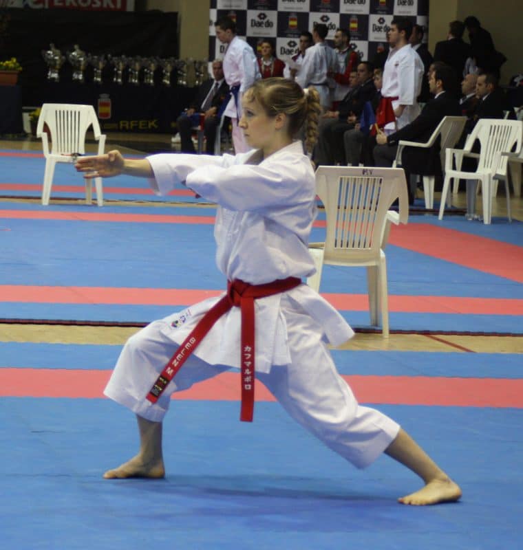 Karate-gi