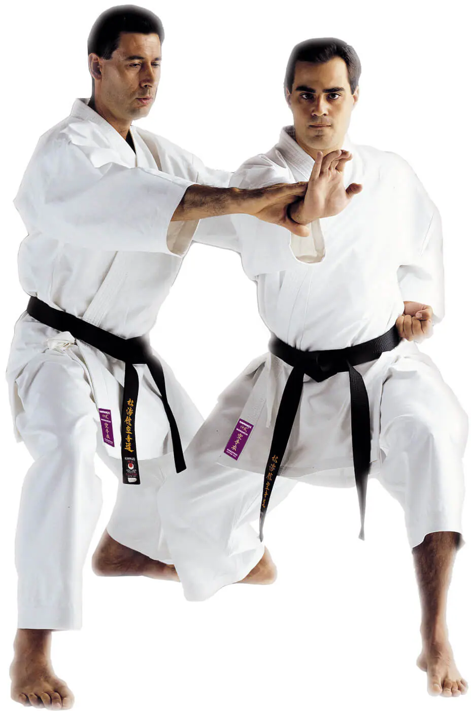 Kimono Karate Kamikaze MONARCH 3 kimono-karate-gi-kamikaze-monarch-fudo-dachi-tate-shuto