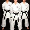 kimono-karate-gi-shureido-new-wave-3-equipe-wkf-approved