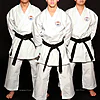 Kimono de Karate Shureido New Wave 3 21 kimono-karate-gi-shureido-new-wave-3-equipe-wkf-approved