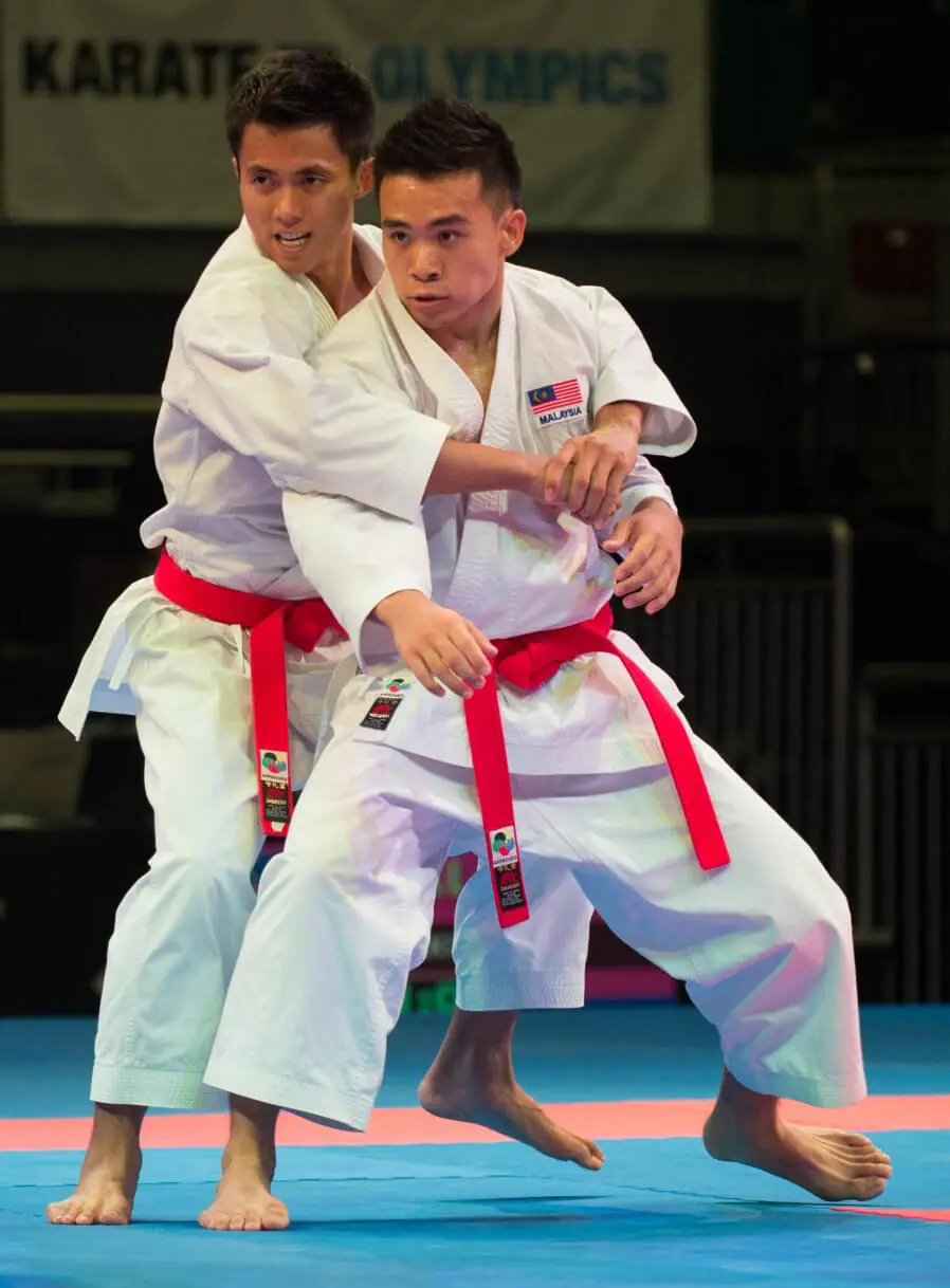 Kimono de Karate Shureido New Wave 3 8 kimono-karate-gi-shureido-new-wave-3-wkf-approved-application-kata-2