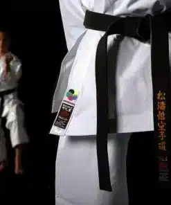 Karate-gi