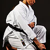 Kimono de Karate Shureido New Wave 3 30 kimono-karate-gi-shureido-new-wave-3-wkf-approved-tsuki-gedan