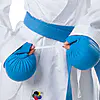 kimono-karate-tokaido-kumite-master-premiere-league-logo
