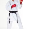 Kimono Karate Tokaido Kumite Master Premiere League - WKF