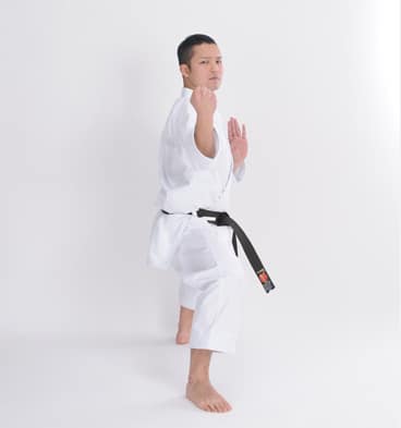 Kimono Tokyodo SP-1000 karate-gi