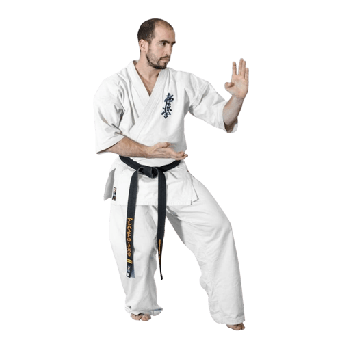 Karate-gi