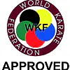 protege-pieds-karate-hayashi-bleu-ou-rouge-wkf
