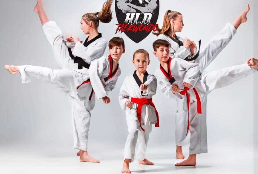 Karate-gi
